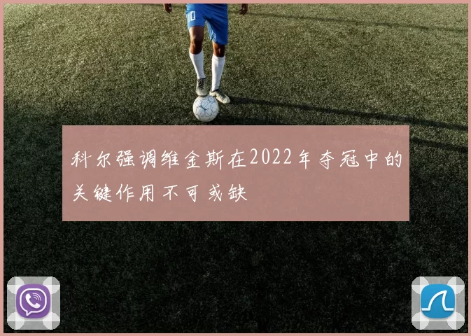 科尔强调维金斯在2022年夺冠中的关键作用不可或缺